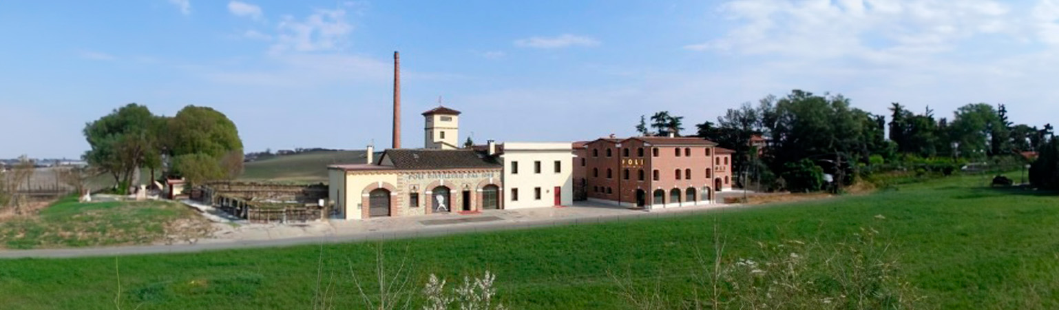 Poli